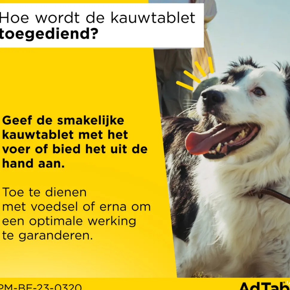 AdTab Anti Vlo en Teek Kauwtabletten Hond >11-22 kg 3 tabletten