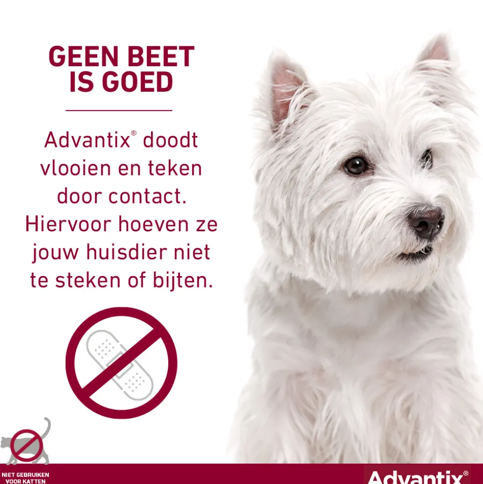Advantix Spot On 40 Anti Vlooien en Teken Druppels Hond tot 4 kg 6 pipetten