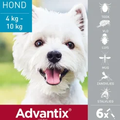 Advantix Spot On 100 Anti Vlooien en Teken Druppels Hond 4 - 10 kg 6 pipetten