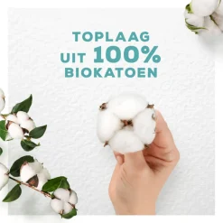 Always Maandverband Bio Cotton Protection Ultra Night met Vleugels 8 stuks
