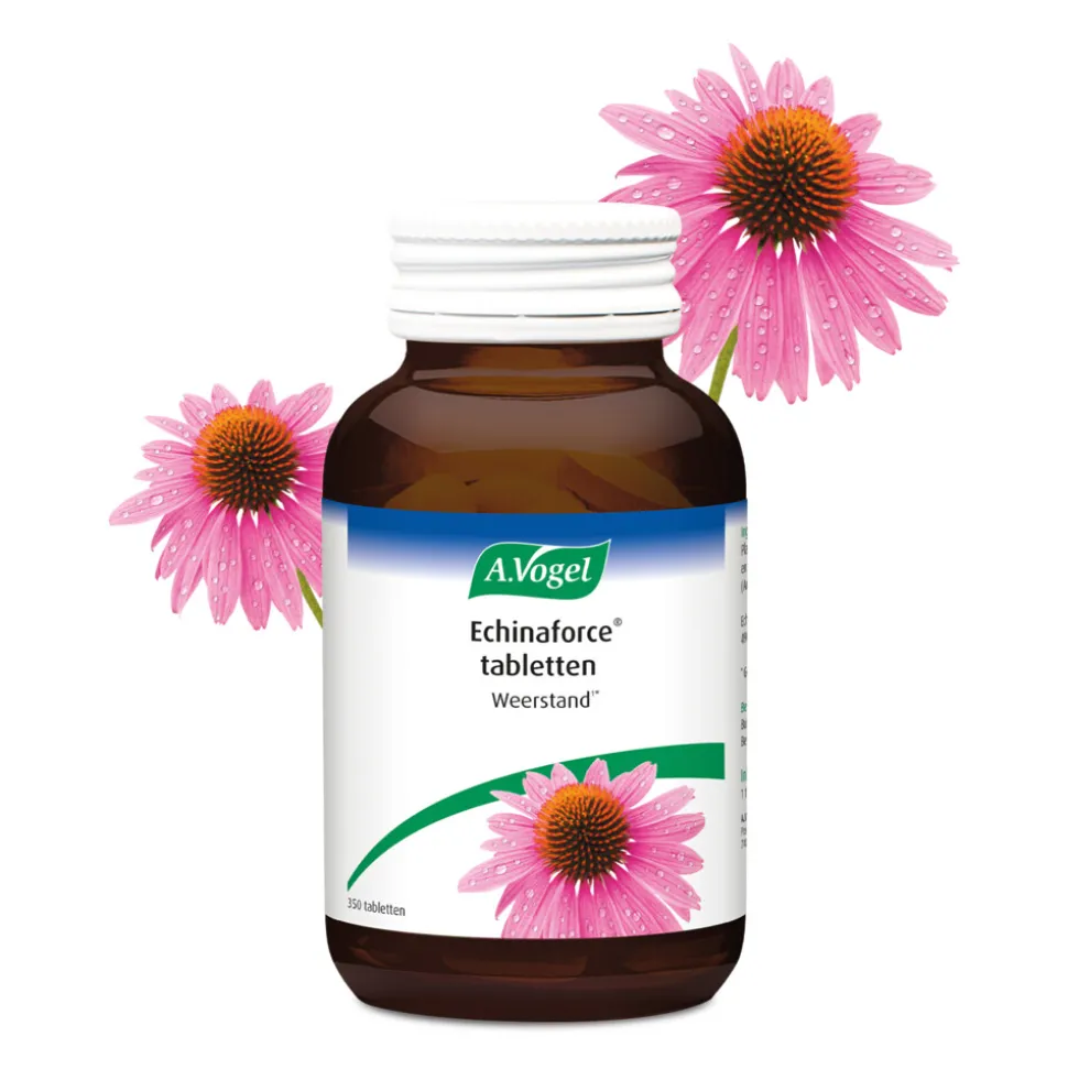 A.Vogel Echinaforce Weerstand 350 tabletten