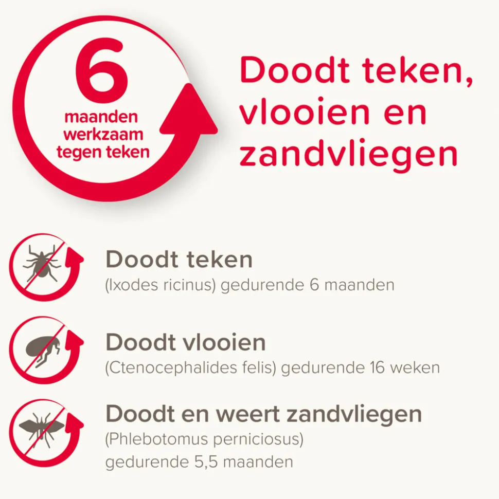 Beaphar Canishield Anti Vlooien en Tekenband Hond S - M 48 cm