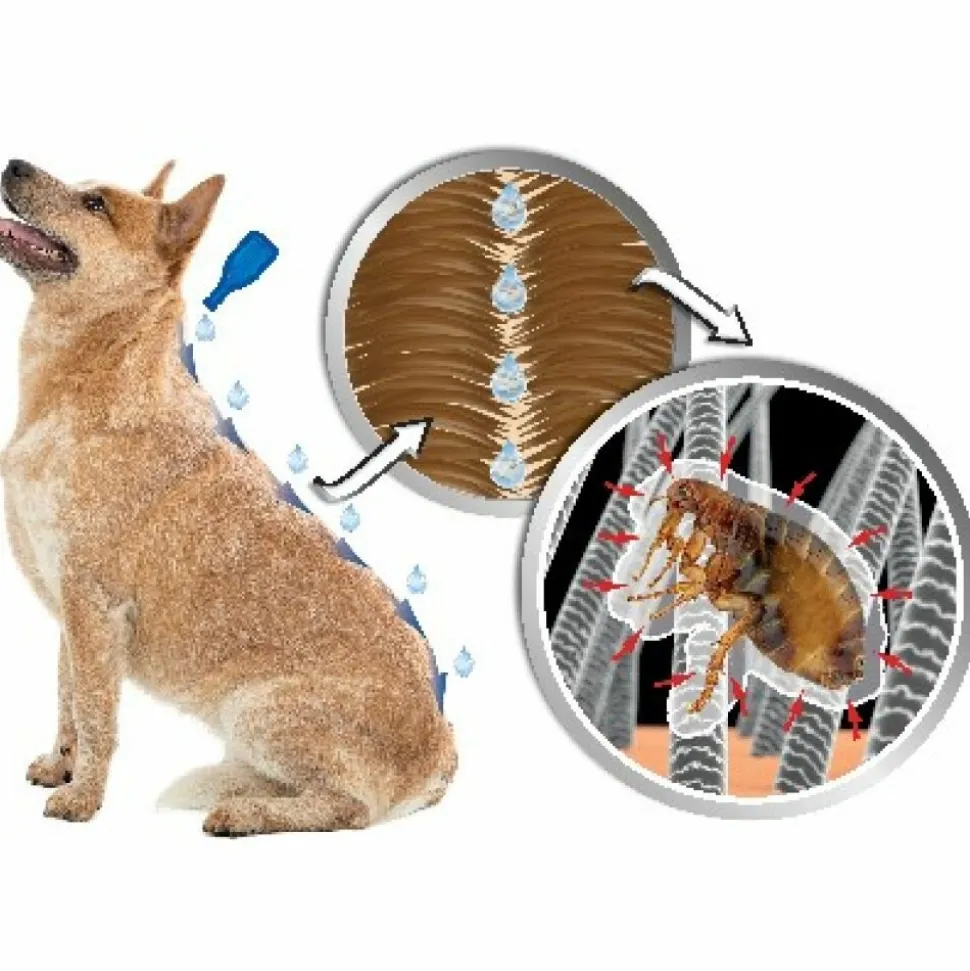 Beaphar DImetHIcare Line-On Anti Vlooien en Teken Druppels Hond > 30 kg 6 pipetten