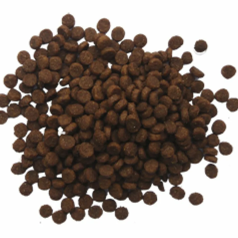 BF Petfood Puppy Hondenvoer Hondenvoer 12,5 kg