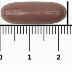 Bional Nachtrust Valeriaan Forte 60 capsules