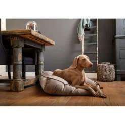 Designed by Lotte Ligkussen Fluweel Nalino Grijs 100 x 70 x 15 cm