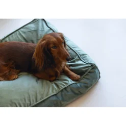 Designed by Lotte Ligkussen Nalino Hond Groen 70 x 55 x 15