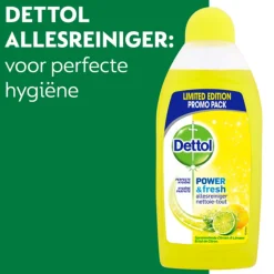 Dettol Power & Fresh Allesreiniger Citrus 500 ml
