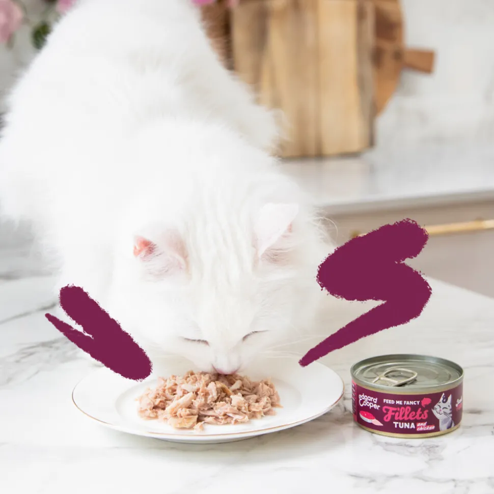 Edgard & Cooper Kattenvoer Fillets Tonijn - Kip 70 gr