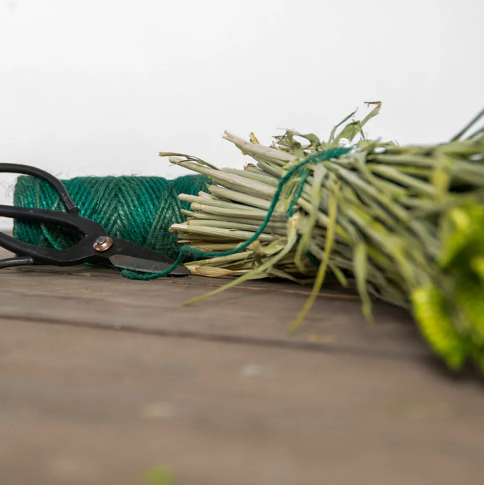 Esschert Design Geschenkset Touw En Schaar Groen