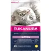 Eukanuba Junior Kitten Kattenvoer Kip - Lever 2 kg