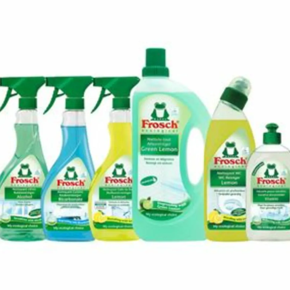 Frosch Ruitenreiniger Spray met Alcohol 500 ml