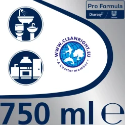Glorix Professional Voegenreiniger Pro Formula 750 ml