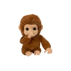 My Baby Monkey