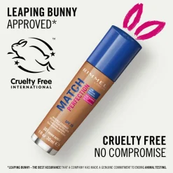 Rimmel Match Perfection Foundation Warm Honey 301 30 ml