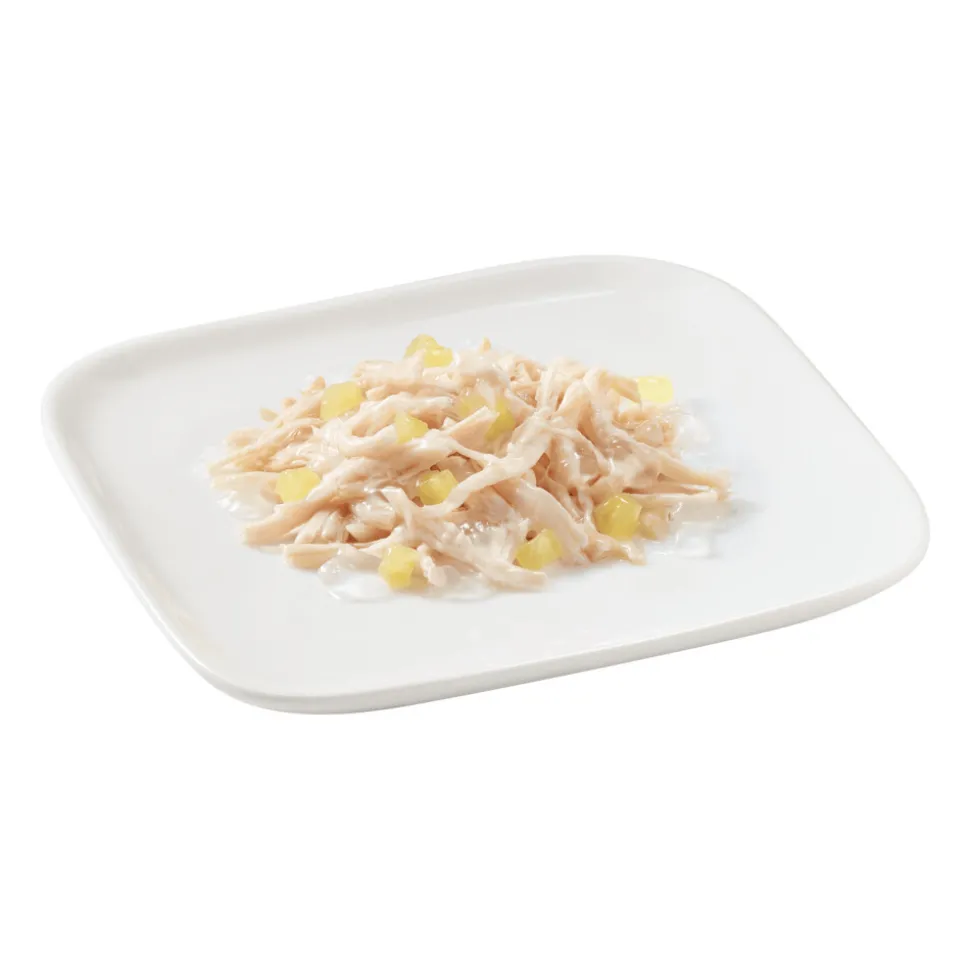 Schesir Hondenvoer Kip - Ananas 150 gr