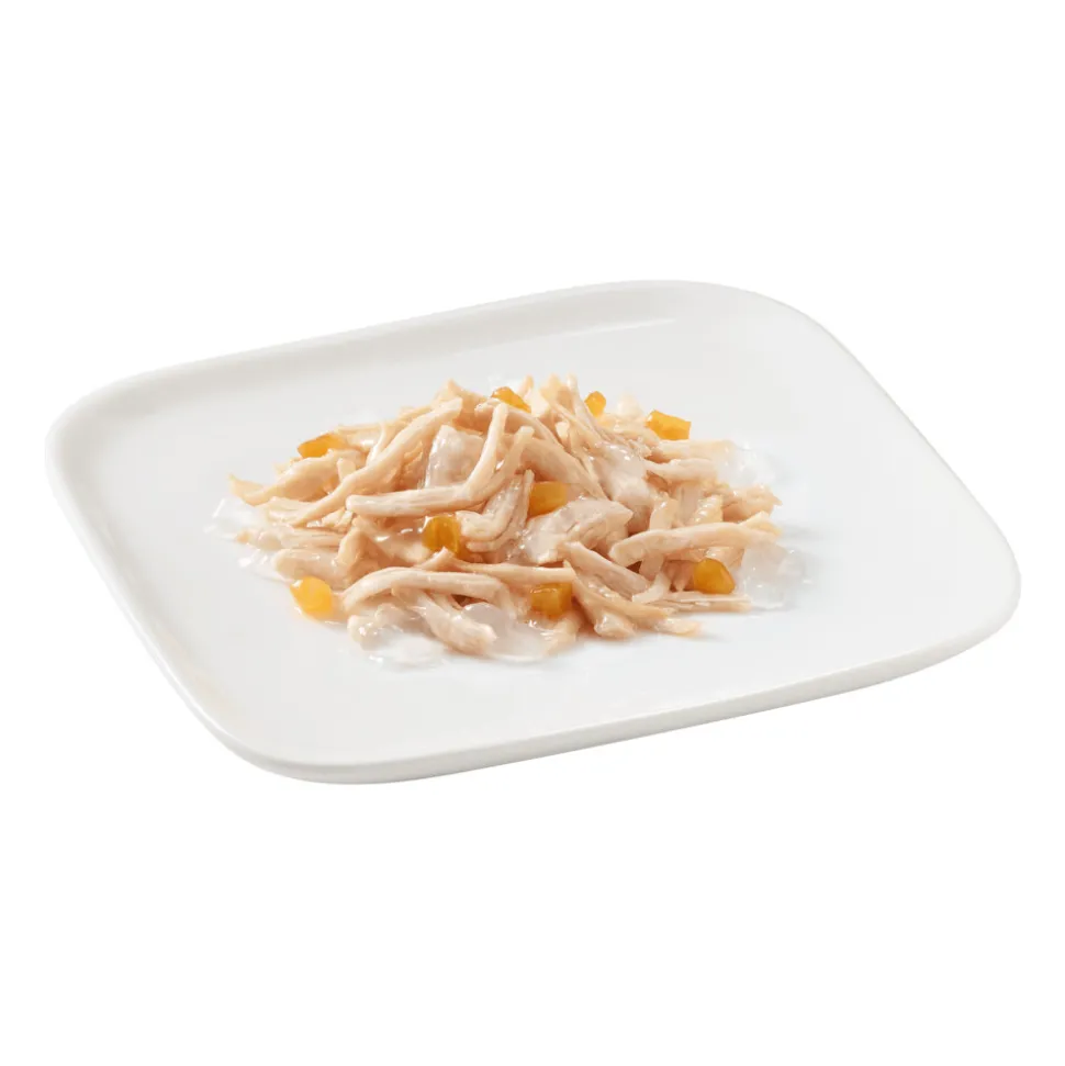 Schesir Hondenvoer Kip - Papaya 150 gr