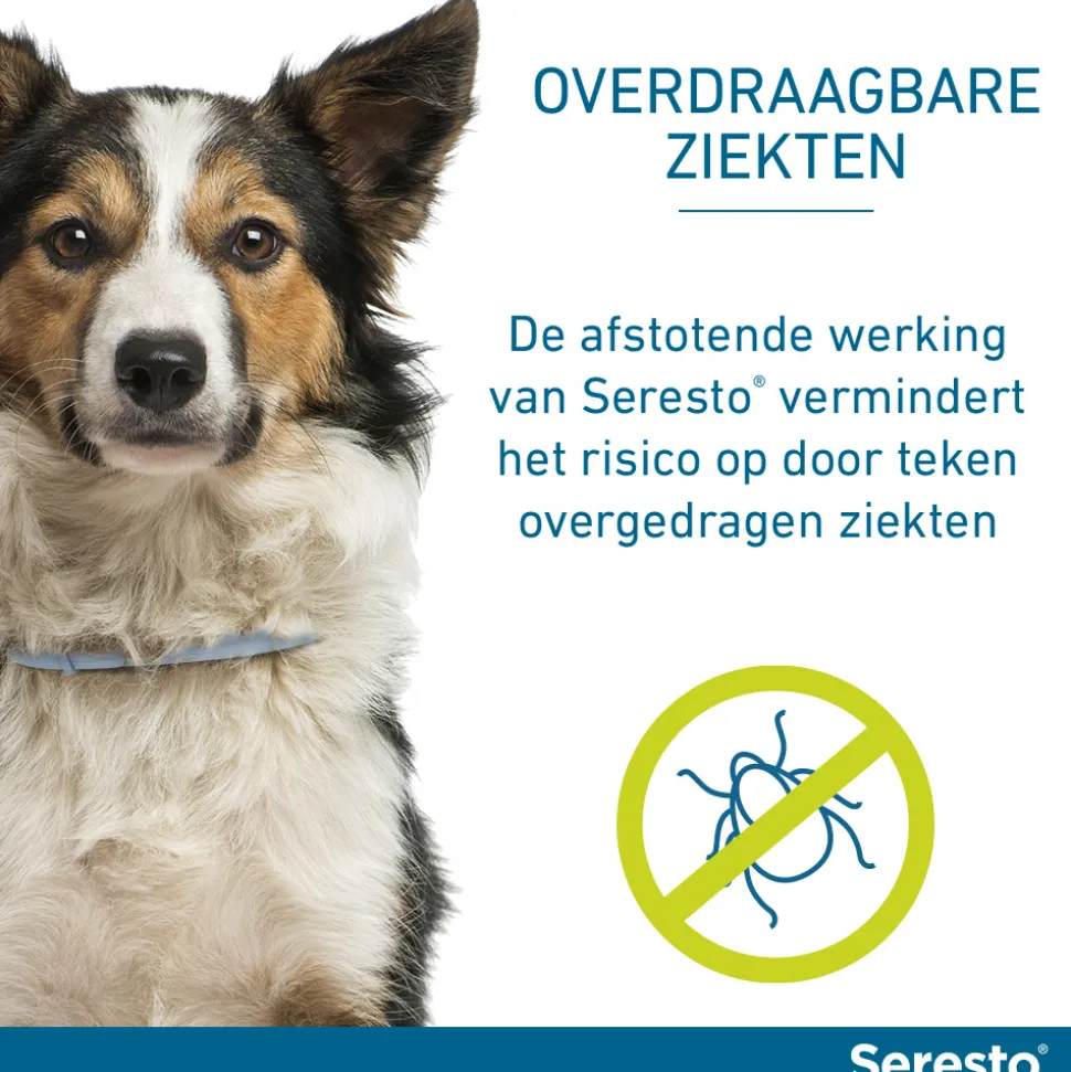 Seresto Anti Vlooien en Teken Halsband Hond Tot 8 kg 2-pack 38 cm