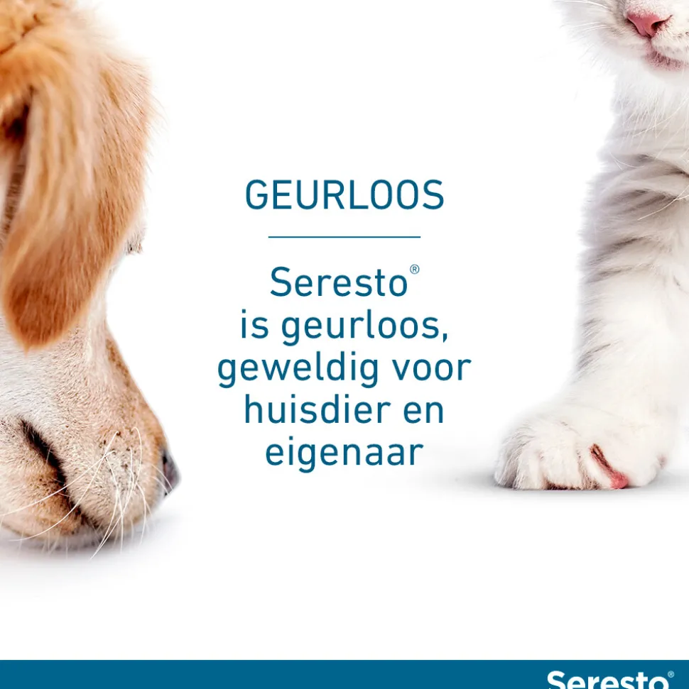 Seresto Anti Vlooien en Teken Halsband Hond Tot 8 kg 2-pack 38 cm