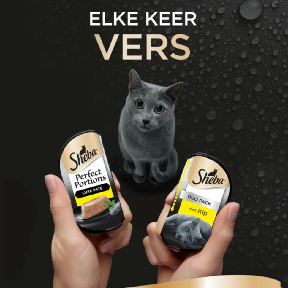 Sheba Perfect Portions Adult Kattenvoer Natvoer Luxe Kip Paté 112,5 gr