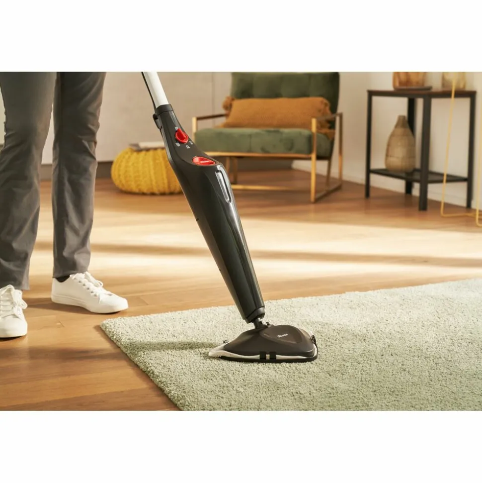 Vileda Stoomreiniger Steam Plus 1 set