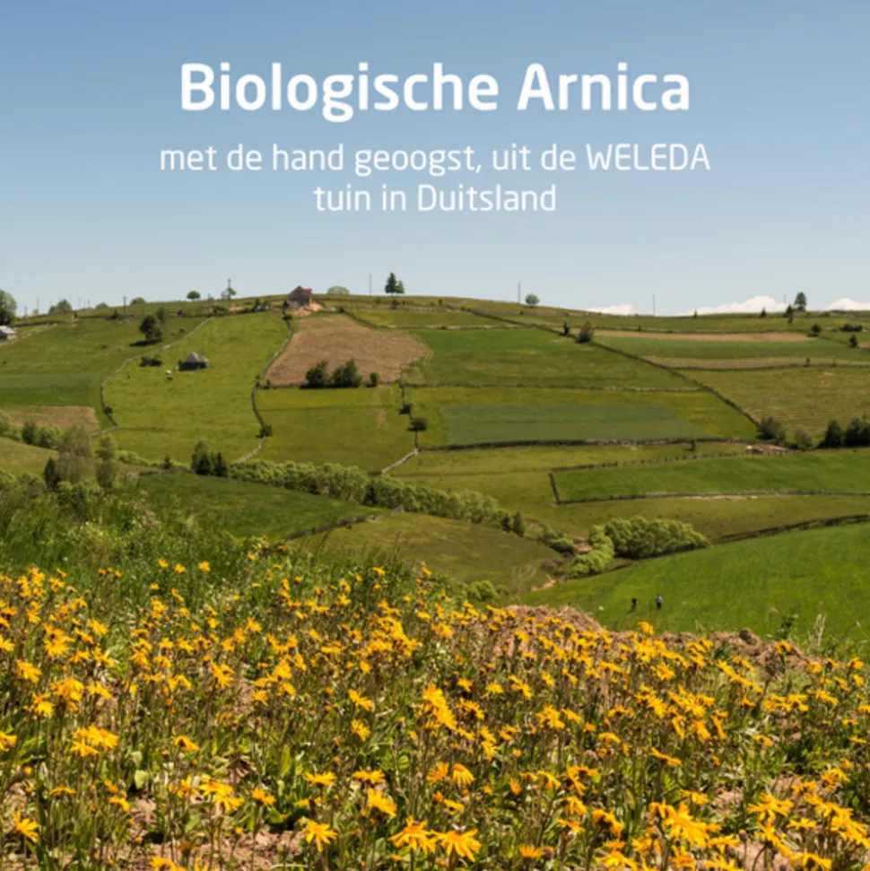 WELEDA Arnica Sport Douchegel 200 ml