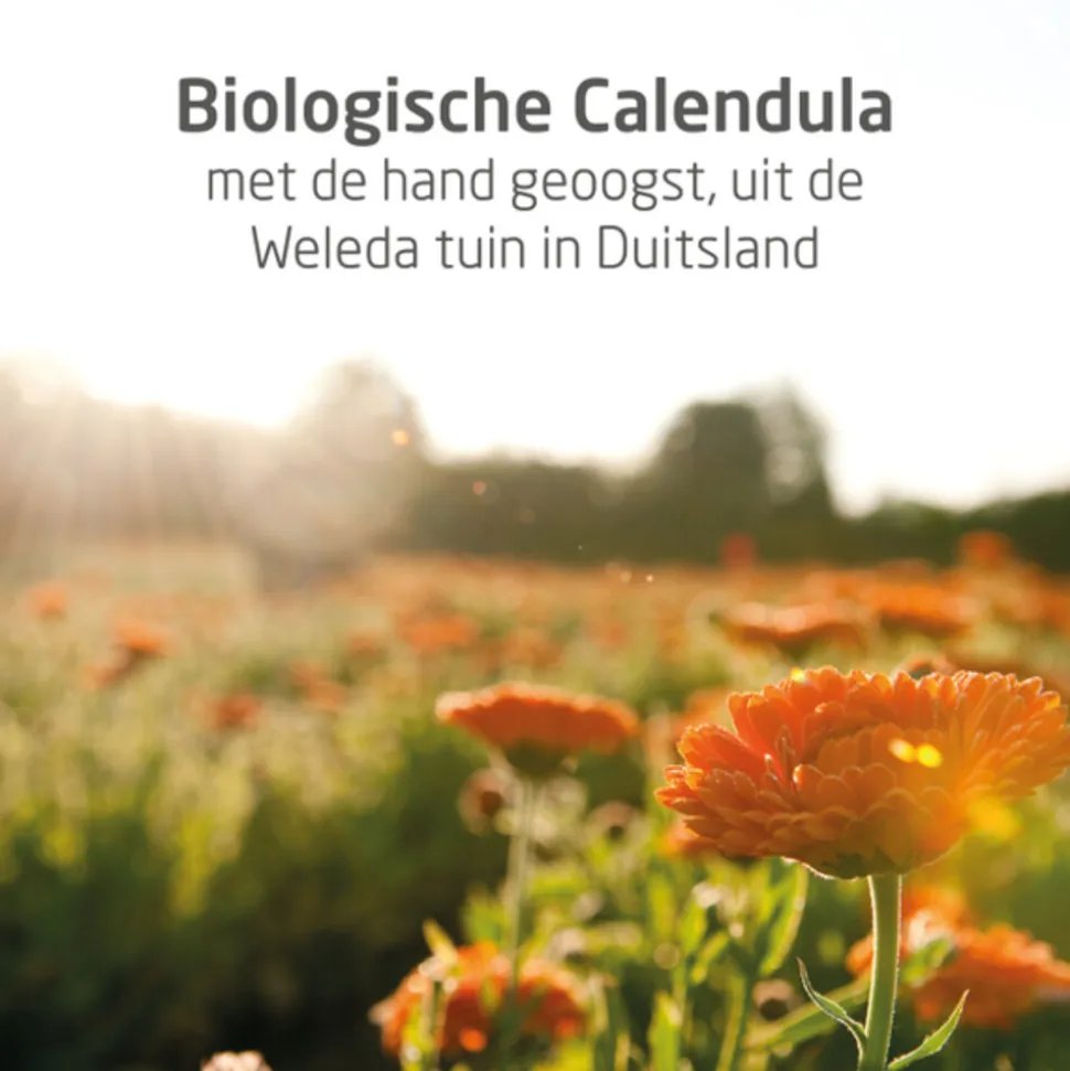 WELEDA Baby Calendula Bodycrème 75 ml