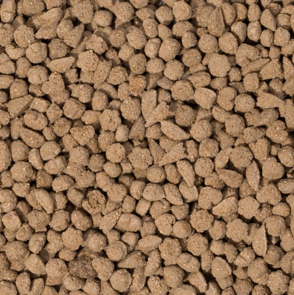 4x Beaphar Care+ Konijn Adult 1,5 kg