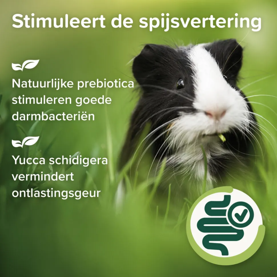 4x Beaphar Care+ Nature Cavia 1,5 kg