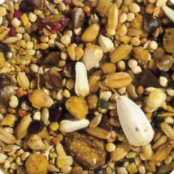 5x Beaphar XtraVital Grote Parkiet 1 kg