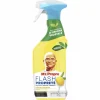 10x Mr. Propre Ontvetter Allesreiniger Spray Flash Properté Citroen 500 ml