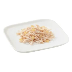 10x Schesir Hondenvoer Kip - Appel 150 gr