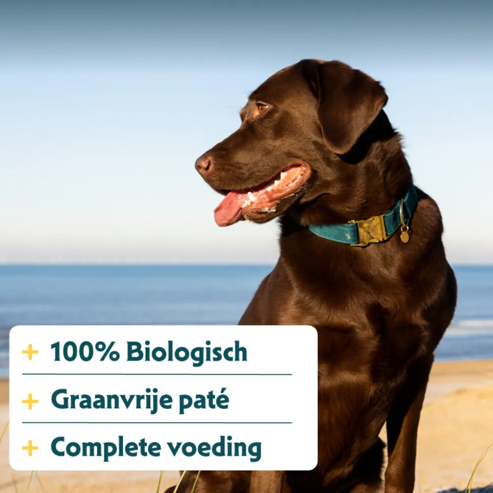 12x Yarrah Bio Hondenvoer Paté Varken 400 gr