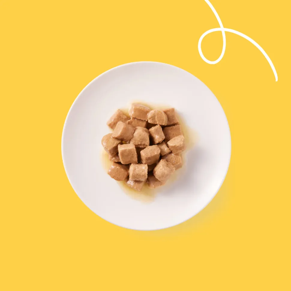 12x Yarrah Bio Kattenvoer Chunks Kip 405 gr