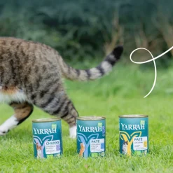 12x Yarrah Bio Kattenvoer Paté Kip 400 gr