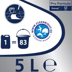 2x Andy Professional Allesreiniger Vertrouwd Pro Formula 5 liter
