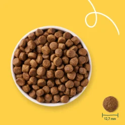 Yarrah Bio Hondenvoer Senior Kip 10 kg