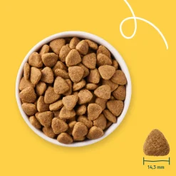 Yarrah Bio Hondenvoer Vegetarisch Tarwe Vrij 2 kg