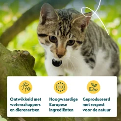 Yarrah Bio Kattenvoer Adult Vis 800 gr