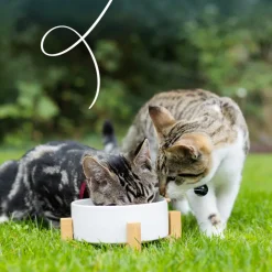 Yarrah Bio Kattenvoer Chunks Kip & Kalkoen 100 gr
